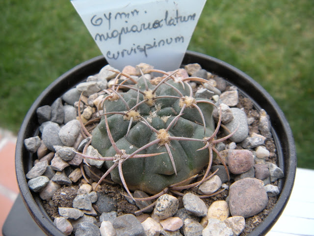 DSCN3383.JPG