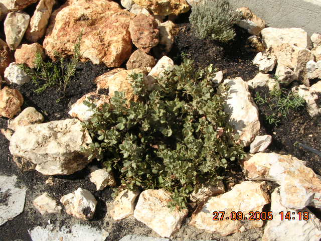 DSCN3383.JPG