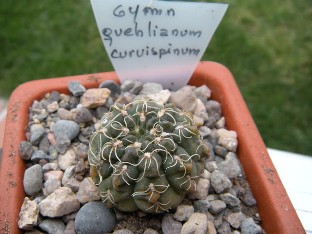 DSCN3386.JPG