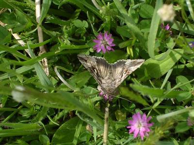 DSCN3387.JPG
