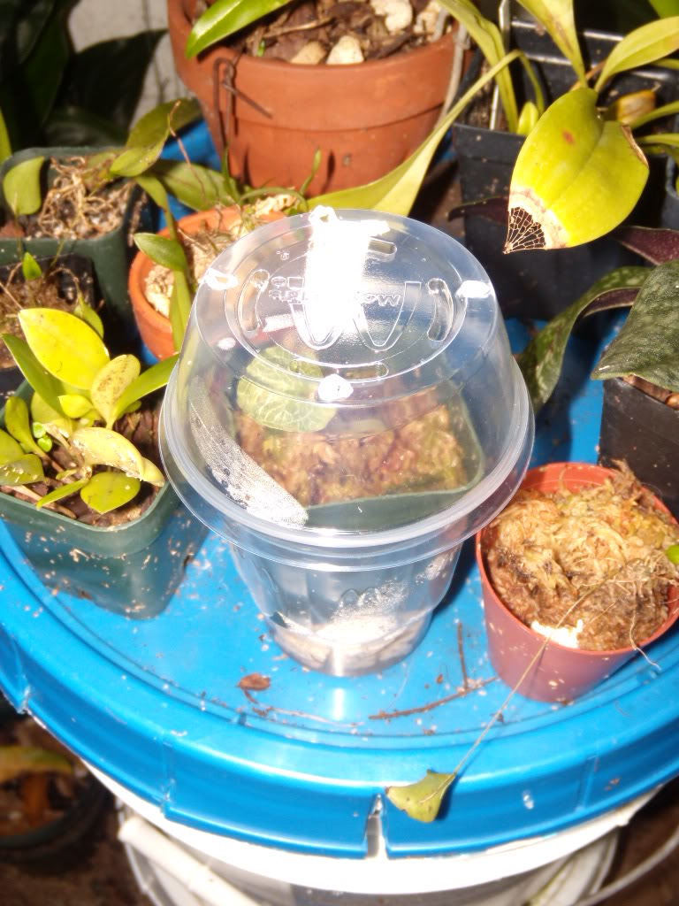 DSCN3388.jpg
