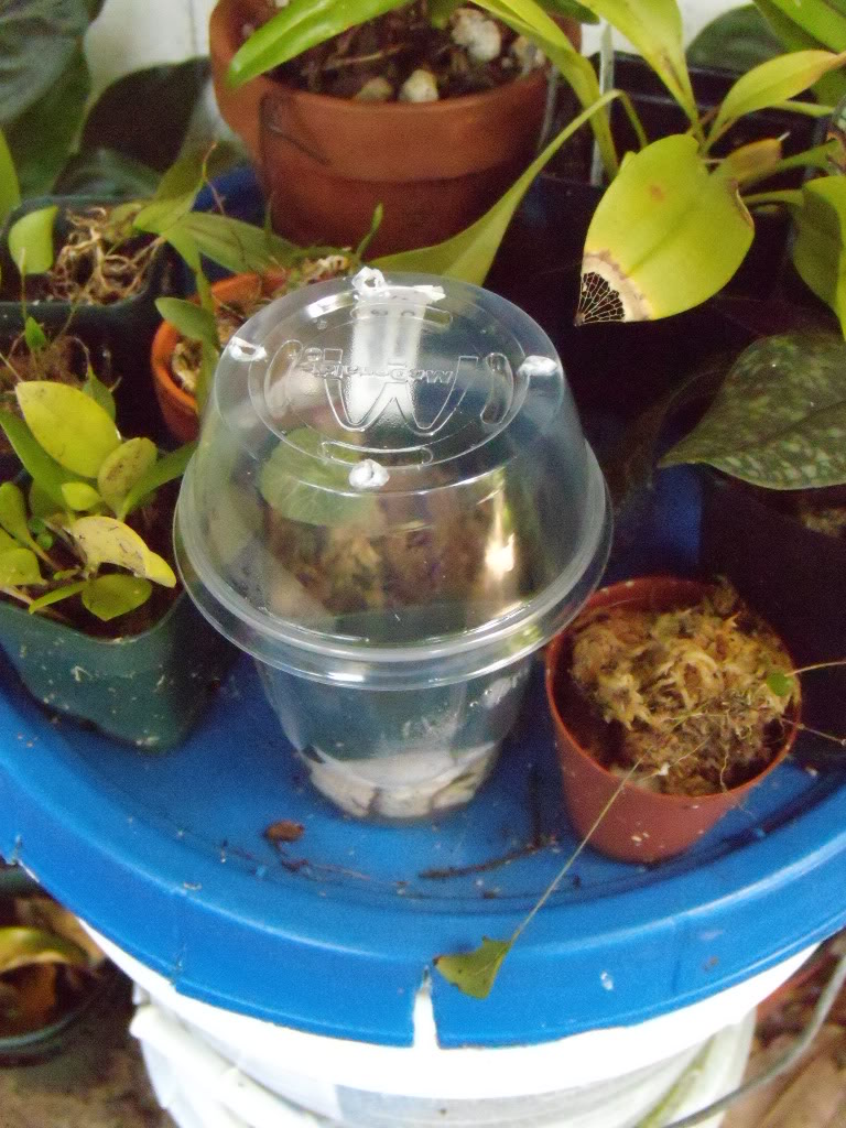DSCN3389.jpg