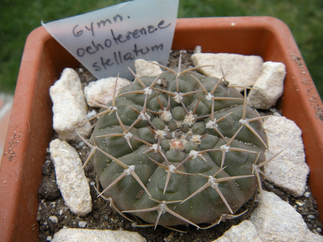 DSCN3389.JPG