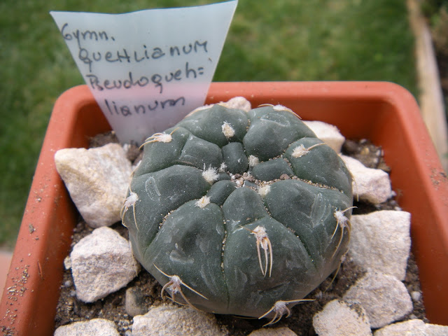 DSCN3390.JPG