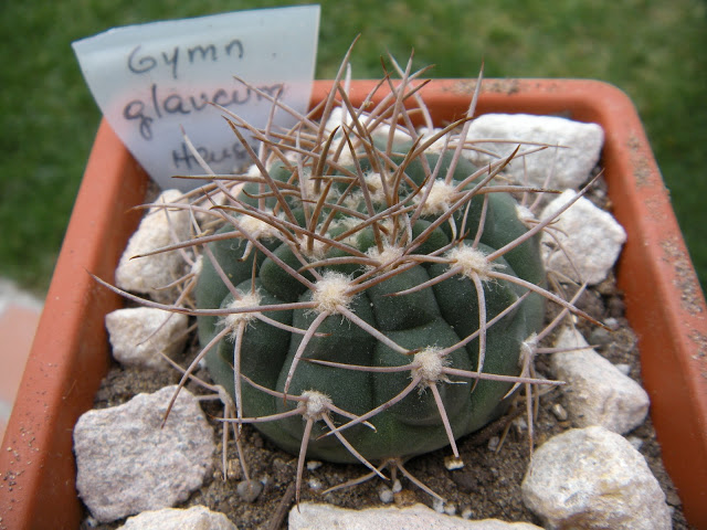 DSCN3391.JPG