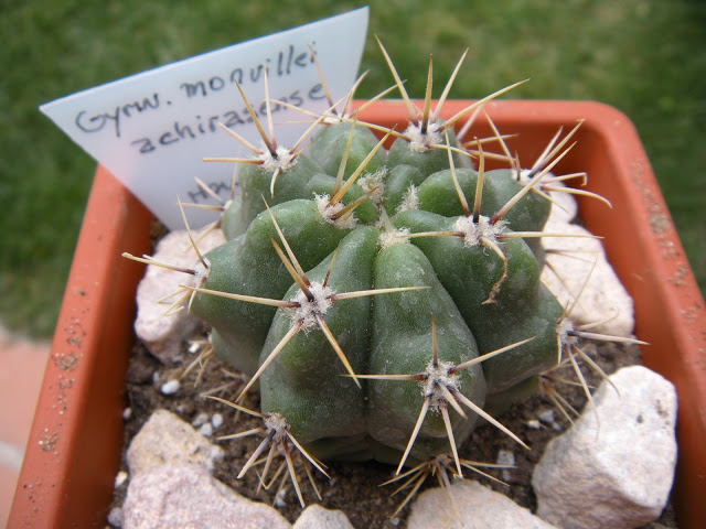 DSCN3392.JPG