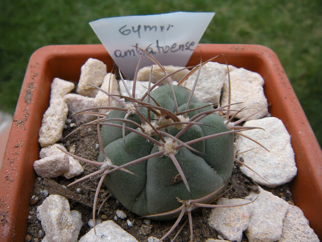 DSCN3393.JPG