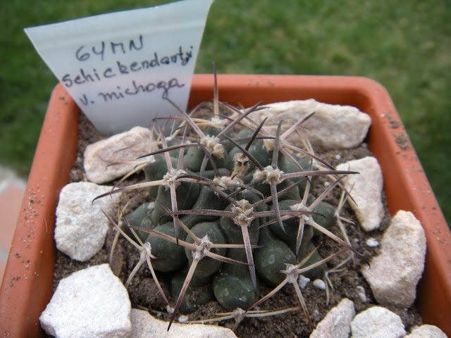 DSCN3395.JPG