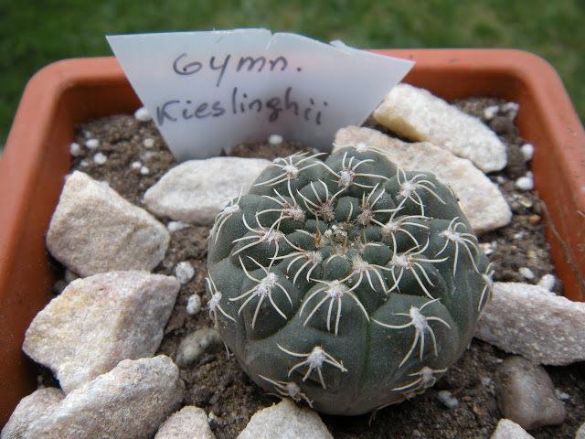 DSCN3396.JPG