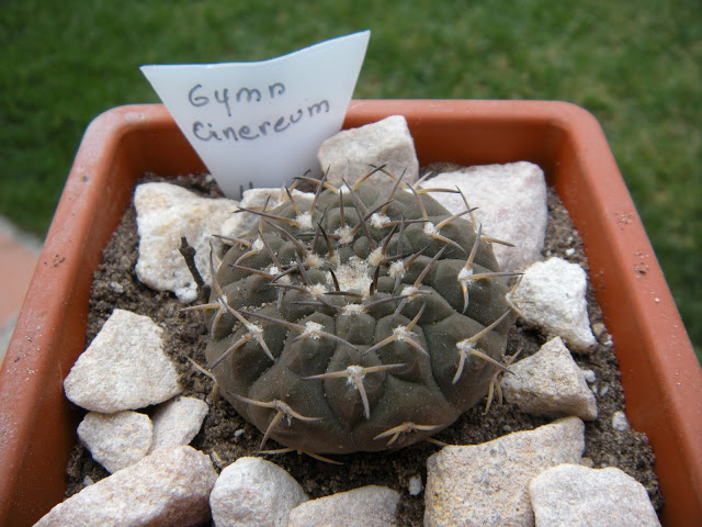 DSCN3397.JPG