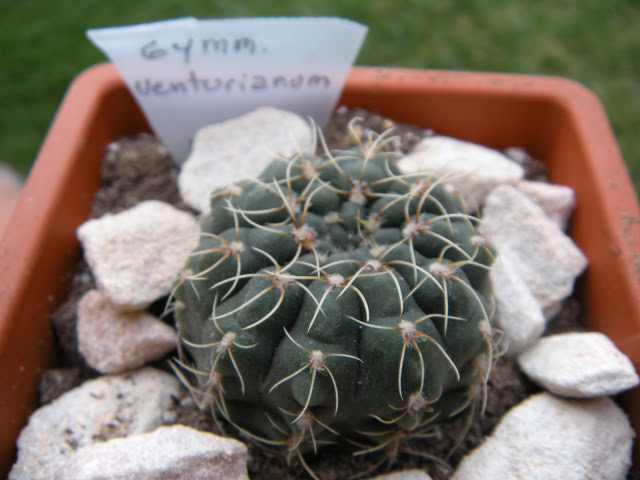 DSCN3398.JPG