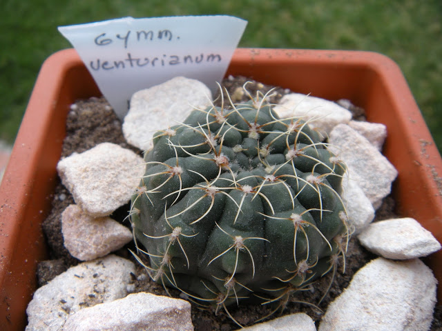 DSCN3399.JPG