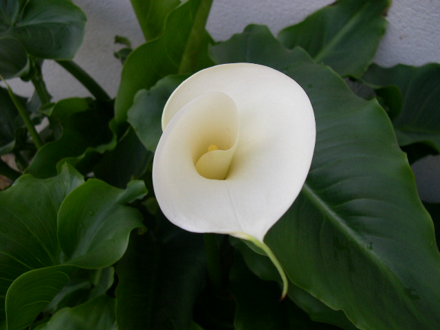 DSCN3399.JPG