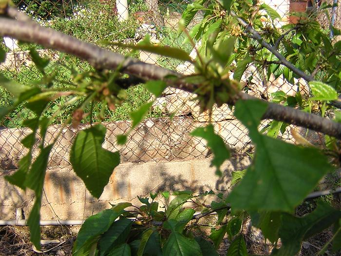 DSCN3399.jpg
