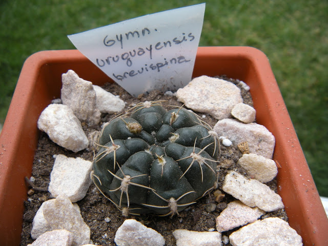 DSCN3400.JPG