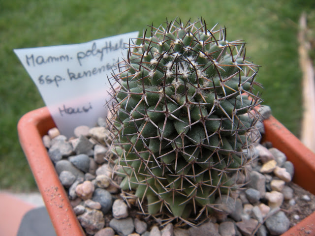 DSCN3401.JPG