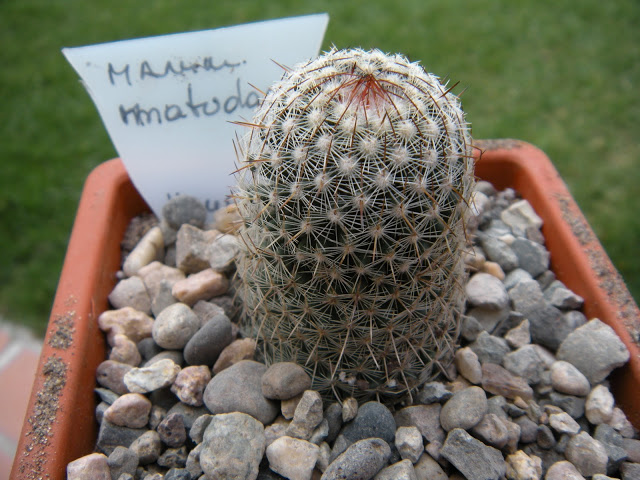 DSCN3404.JPG