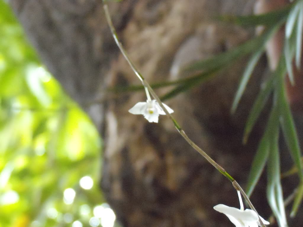 DSCN3405.jpg