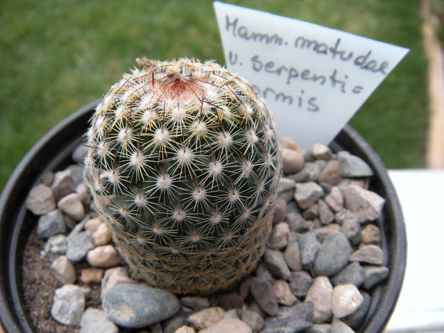 DSCN3405.JPG