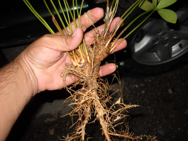 DSCN3407.jpg