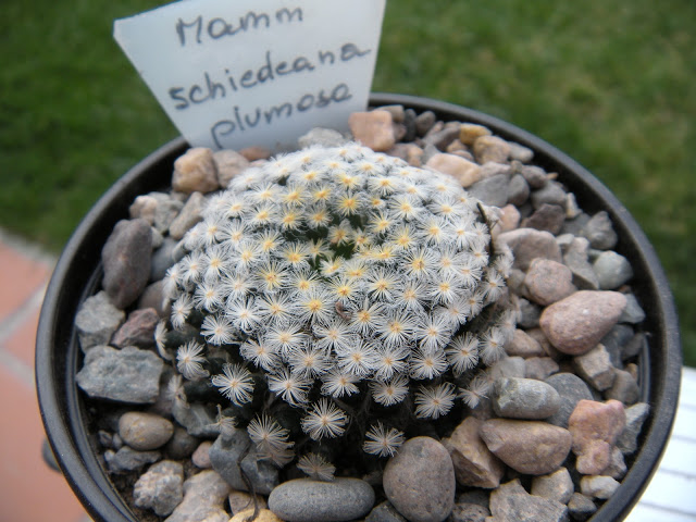 DSCN3408.JPG