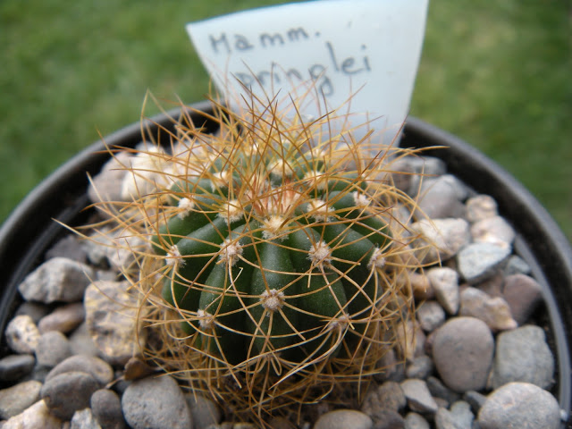 DSCN3409.JPG
