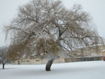 DSCN3409.JPG