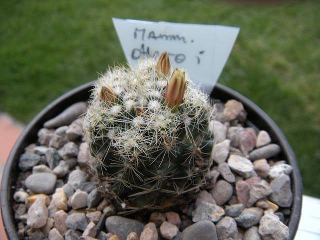 DSCN3412.JPG