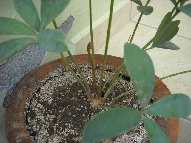 DSCN3413.jpg
