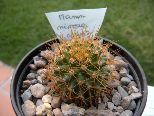 DSCN3415.JPG