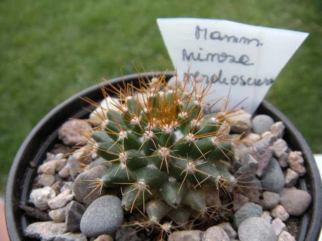 DSCN3416.JPG