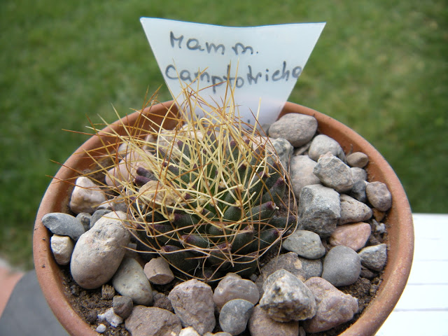 DSCN3417.JPG