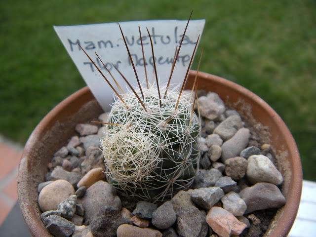 DSCN3418.JPG