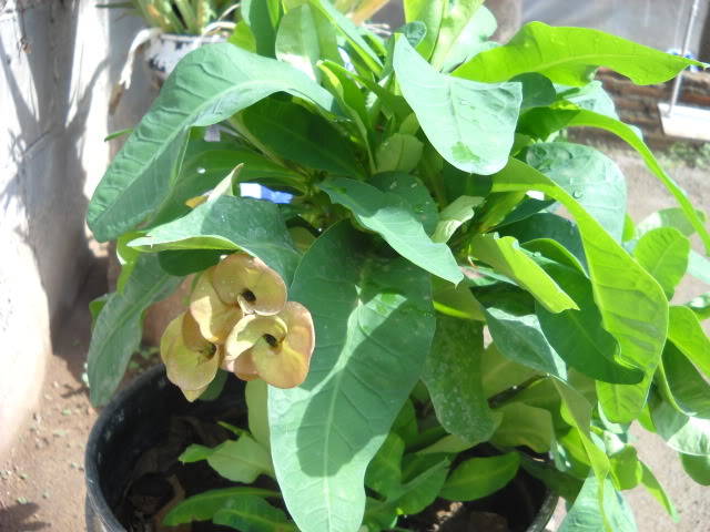DSCN3418.jpg