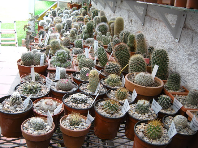 DSCN3419.JPG