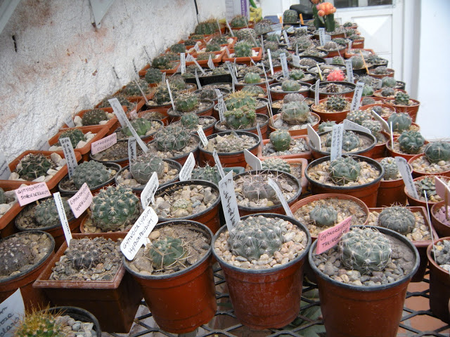 DSCN3420.JPG