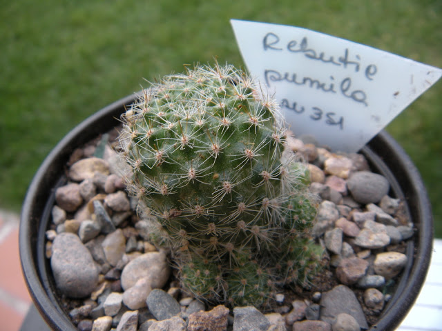 DSCN3421.JPG