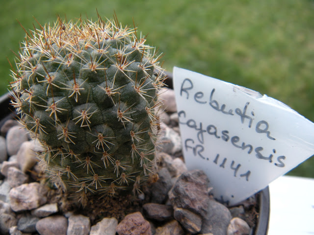 DSCN3425.JPG