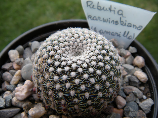 DSCN3427.JPG