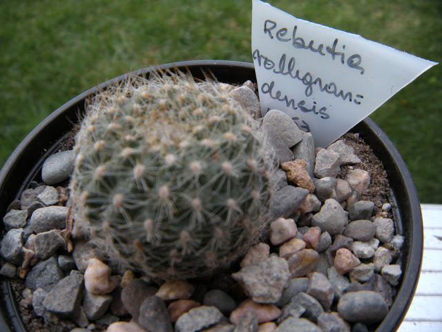 DSCN3428.JPG