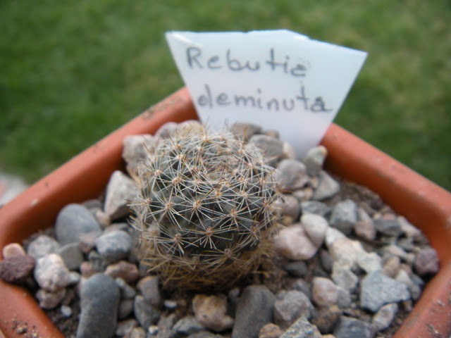 DSCN3430.JPG