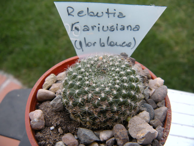 DSCN3435.JPG
