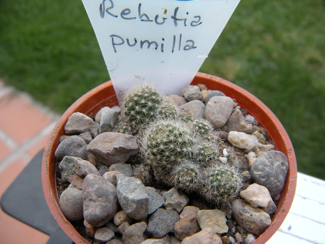 DSCN3437.JPG