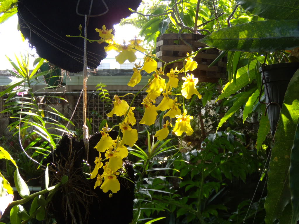 DSCN3441.jpg