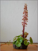 DSCN3445.jpg
