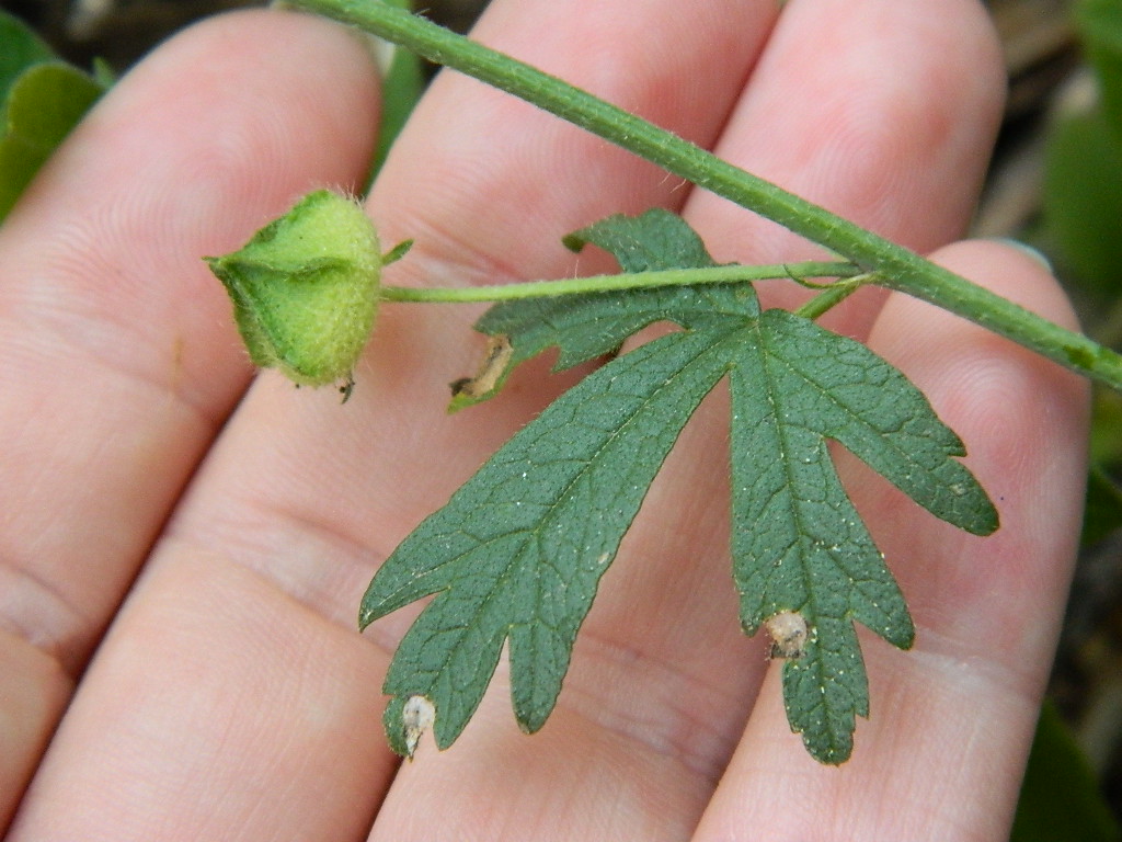 DSCN3446.jpg