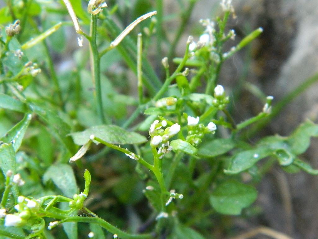 DSCN3450.jpg
