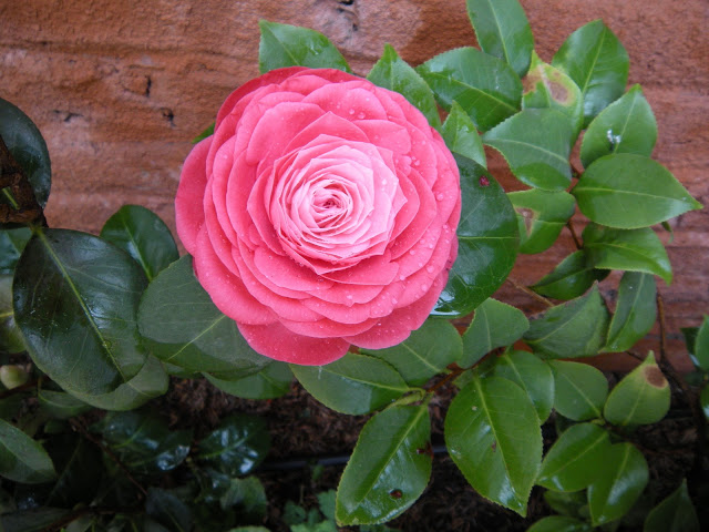 DSCN3454.JPG