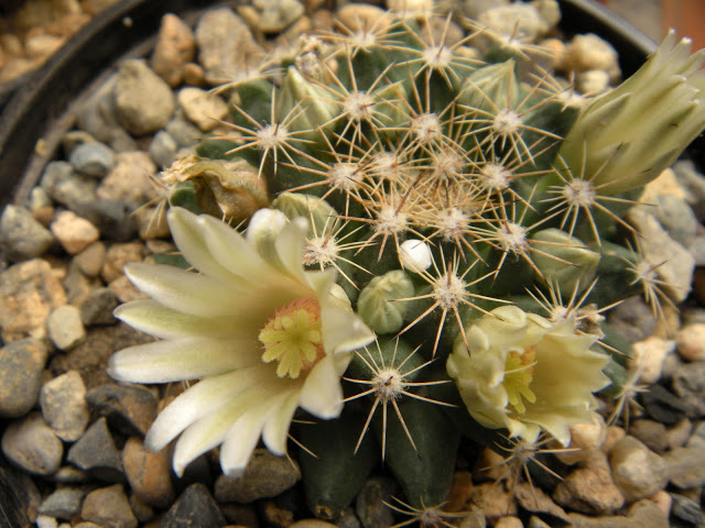 DSCN3473.JPG