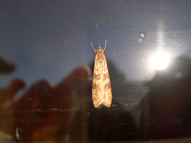 DSCN3483.JPG